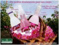 Kit Rosa Damascena